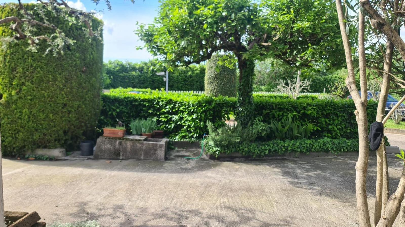 פאדובה B&B Via Del Cristo מראה חיצוני תמונה